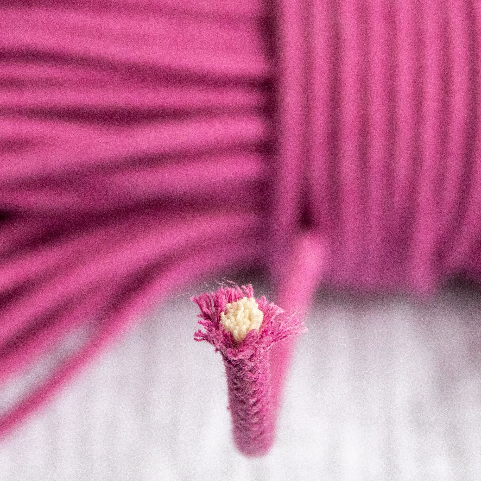Cotton Cord 5mm, 50 meters. ORCHID color